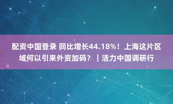 配资中国登录 同比增长44.18%！上海这片区域何以引来外资加码？｜活力中国调研行